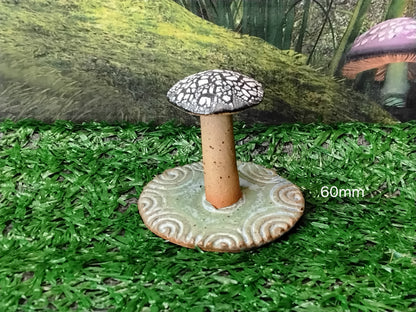 Mushrooms